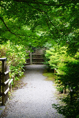 奥嵯峨直指庵の境内風景