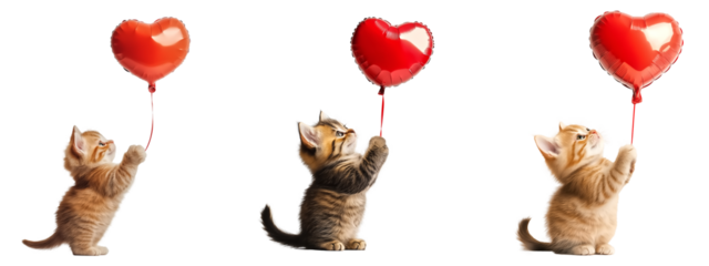 Cat holding a red heart balloon on transparent background