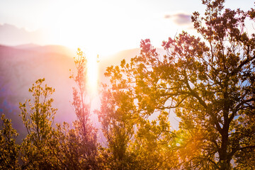 Golden Sunlight Illuminating Scenic Landscape with Trees Against Distant Mountain Horizon at Dawn,...