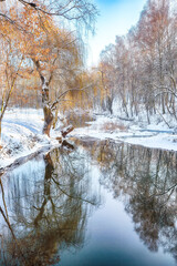 Outstanding landscape in city park with snowy trees and beautiful reflection in frozen river.
