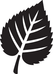 Versatile high-resolution leaf silhouette perfect for various projects.