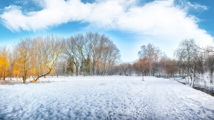 Breathtaking landscape with snow-covered trees in the city park.