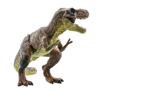 Tyrannosaurus Rex isolated on white background. Side view of a T-Rex dinosaur. Tyrannosaurus was a bipedal carnivore with a massive skull. Exist before the Cretaceous-Paleogene extinction event.