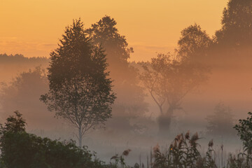 Naklejka premium sunrise in the fog