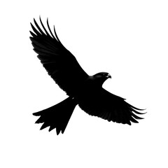 Fototapeta premium 2D full body illustration full body shot of a black-shouldered kite silhouette isolated on a white transparent background