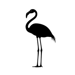 2D full body illustration full body shot of a flamingo silhouette isolated on a white transparent background