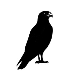 Fototapeta premium 2D full body illustration full body shot of a hawk silhouette isolated on a white transparent background