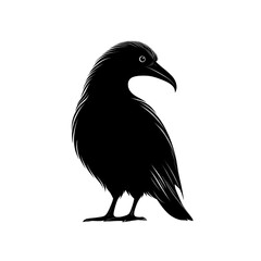 Obraz premium 2D full body illustration full body shot of a kiwi silhouette isolated on a white transparent background