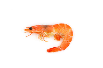 Red cooked prawn  isolated on white background as package design element