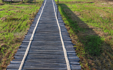 Obraz premium railway in the forest