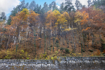 Beautiful autumn forest in the mountains of Rila Nature Park in Bulgaria.