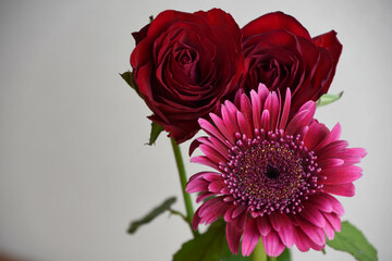 薔薇とガーベラ