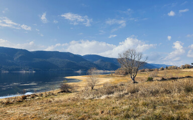 landscape of Dospat lake in Bulgaria