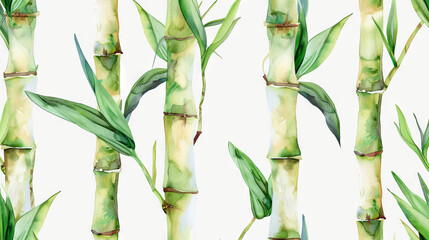 Bamboo pattern with lush green leaves on white background. Watercolor illustration