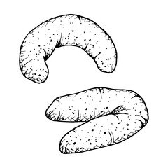 A hand drawn vector illustrations of a vanilla crescent shaped cookie with a textured. Monochrome sketch of crumbly, soft pastry, ideal for bakery branding, culinary projects, or food themed designs.