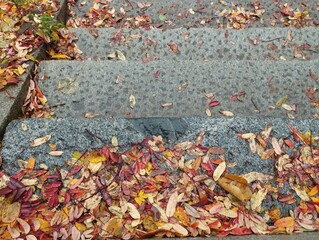 Autumn leaves on stairs.