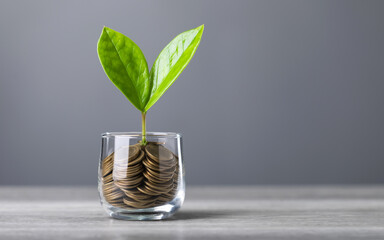 Glass jar filled with coins, with a small seedling growing in the center, placed on a table against...