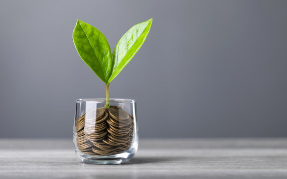 Glass jar filled with coins, with a small seedling growing in the center, placed on a table against a dark grey backdrop. The image represents the concept of saving and financial growth for future