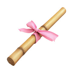 Elegant Scroll Wrapped in Pink Ribbon on Transparent Background