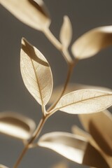 Aesthetic Decorative Leaves. Elegant Botanical Background.