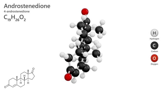 Androstenedione. Steroid hormone. Animated 3D model of a molecule. Molecular formula: C19H26O2. Chemical model: Ball and sticks. White background. 3D rendering. Seamless loop.