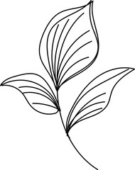 black and white flower