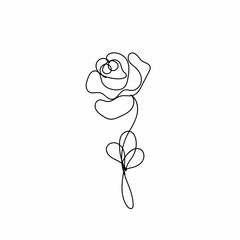 black and white rose