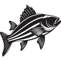 Fototapeta premium Striped bass fish silhouette