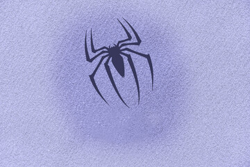 Spider on blue sand background