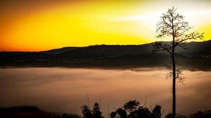 The sun is rising amidst the mist beneath the valley at Na Ton Camp View, Na Haeo District, Loei Province, Thailand.