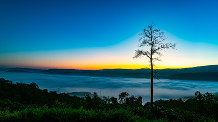 The sun is rising amidst the mist beneath the valley at Na Ton Camp View, Na Haeo District, Loei Province, Thailand.
