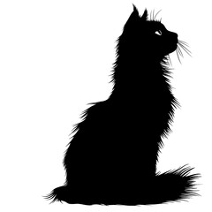 Obraz premium 2D full body illustration full body shot of a Somali cat silhouette isolated on a white transparent background