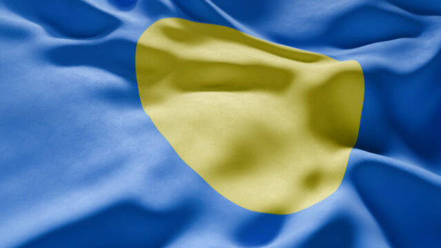 Close-up of Waving Belau flag