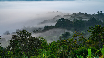 Morning mist rises in the valley of Ban Na Thon, Na Haeo District, Loei Province, Thailand.