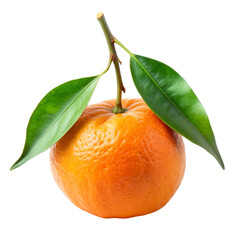 orange with leaf