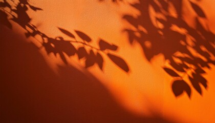 shadow of leaves on an orange wall
