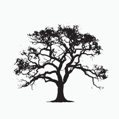 Obraz premium Realistic Oak Tree Silhouette