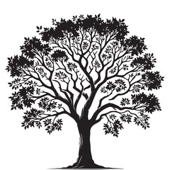 Tree silhouette vector with white background