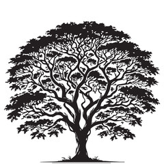 Obraz premium Tree silhouette vector with white background