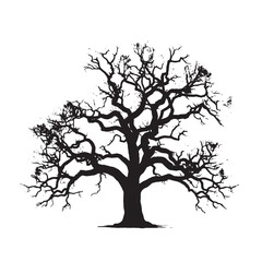 Black Oak Tree Silhouette Vector Art