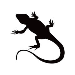 lizard silhouette isolated on white background. Lizard icon vector illustration design.