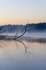Serene Sunrise at Elk Lake in Vancouver Island, British Columbia