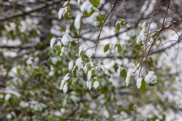 Winter urban landscape. Trees, paths and stairs under snow.