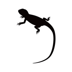 lizard silhouette isolated on white background. Lizard icon vector illustration design.