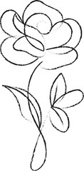 hand drawn vector illustration of a flower