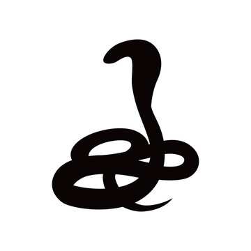 Black Snake Silhouette  icon vector