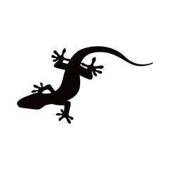 lizard silhouette isolated on white background. Lizard icon vector illustration design.