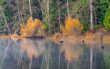 Serene Sunrise at Elk Lake, Vancouver Island, British Columbia, Canada