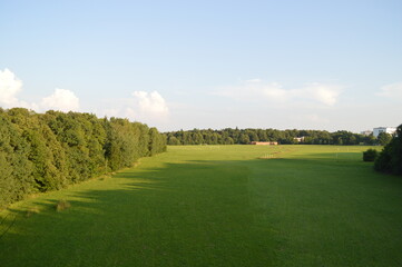 Forest view from a hot air balloon