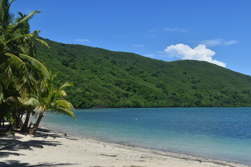 A lush green tropical paradise island with palm trees and white sandy beaches on Fiji in the Pacific Ocean